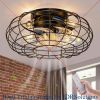 Ceiling Fan, with Lights, 16 Inch Caged Ceilings Fan Lights Remote Control Small Industrial Ceiling Fan Light, Ceiling Fan