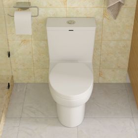 White Ceramic One Piece Toilet,Dual Flush with Soft Close Seat (Style: Top Flush, Color: as Pic)